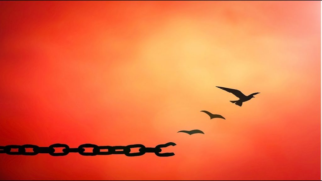 Image depicting birds freeing from links of chains that break up when we apologize or forgive illustrating how these two actions help one be free and shed emotional baggage